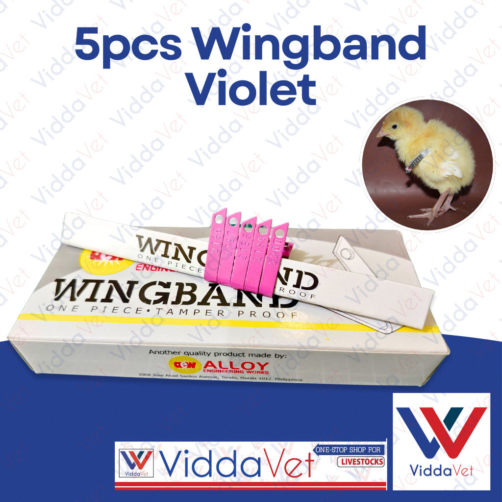 Wing Bands Violet 5pcs