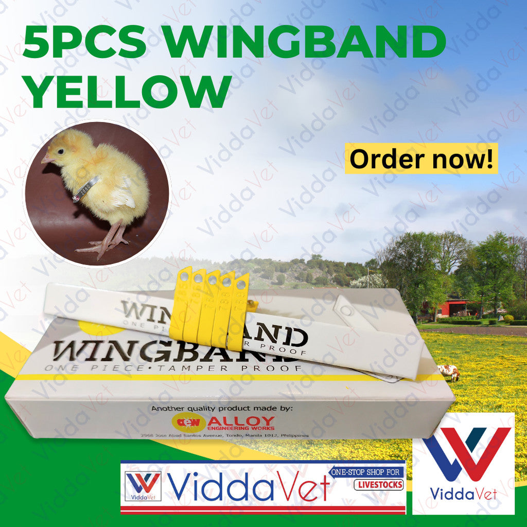 Wing Bands Yellow 5pcs