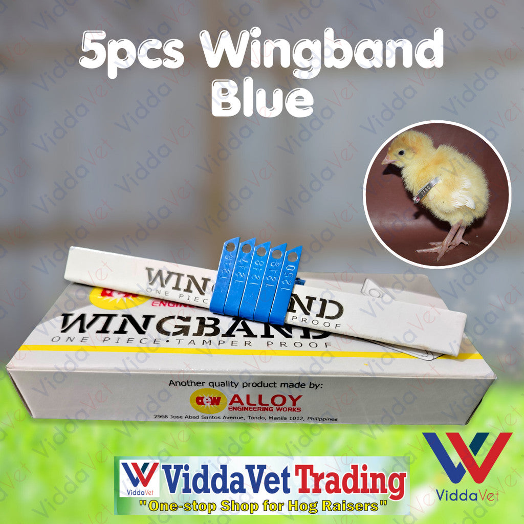 Blue Wingband 5pc