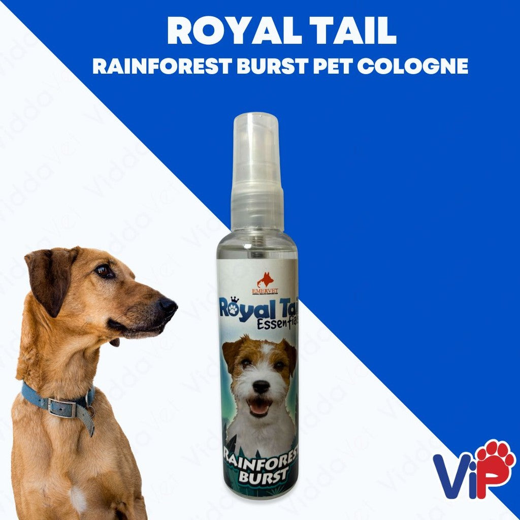 Royal Tail Rainforest Burst Pet Cologne 100mL