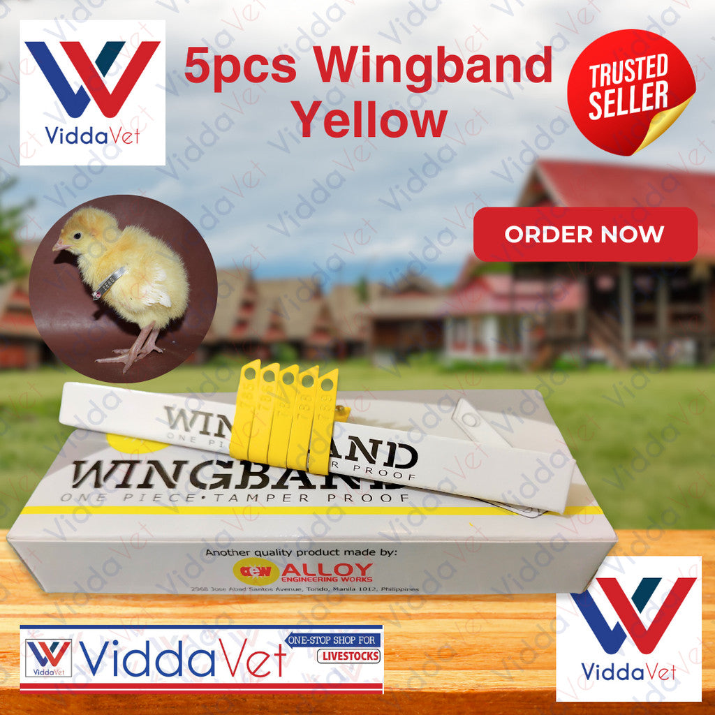 Wing Bands Yellow 5pcs