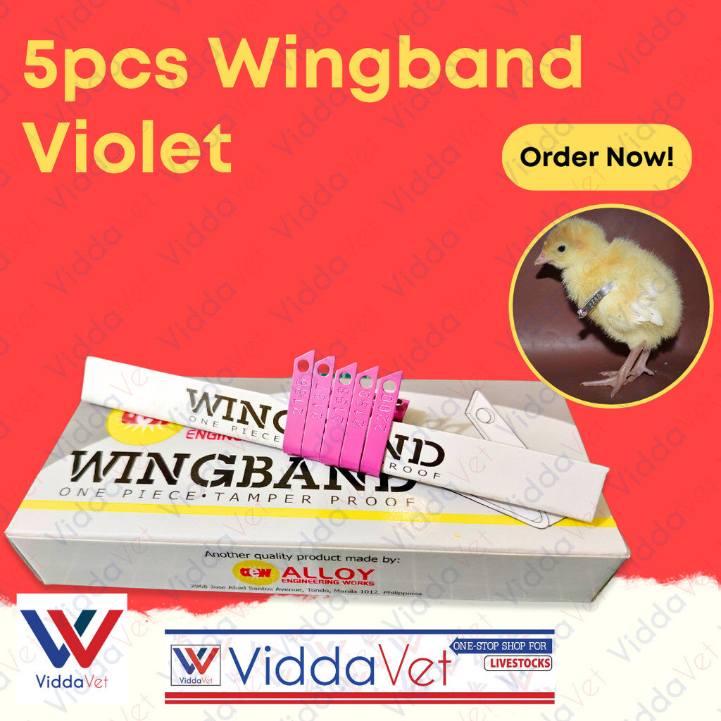 Wing Bands Violet 5pcs