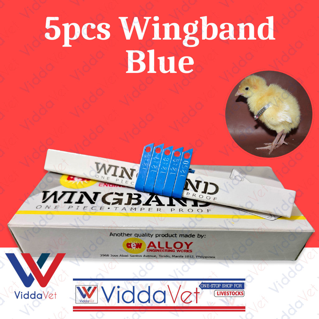 Blue Wingband 5pc