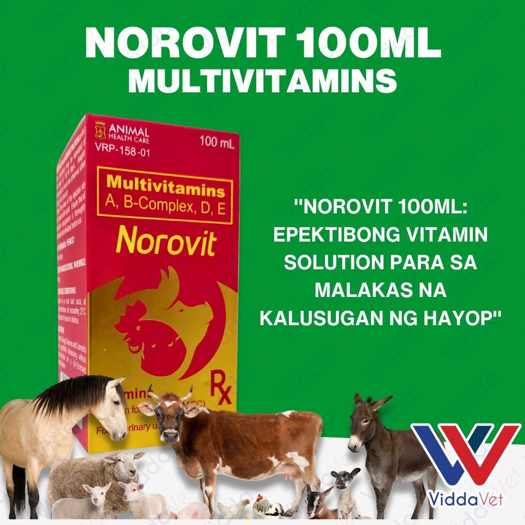 Norovit 100ml