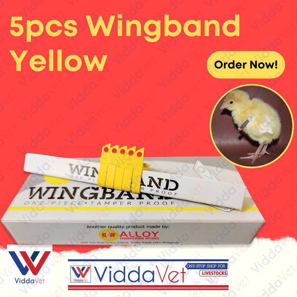 Wing Bands Yellow 5pcs