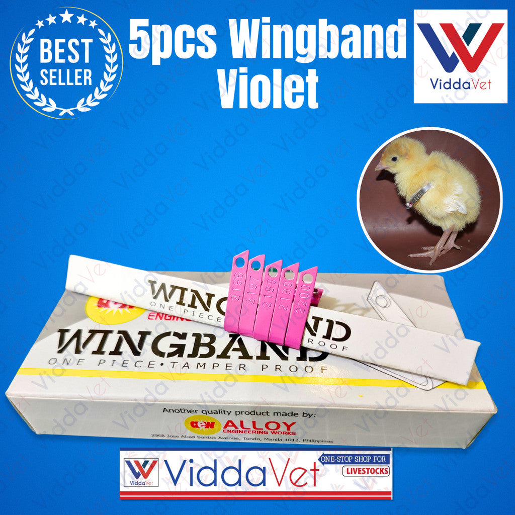 Wing Bands Violet 5pcs