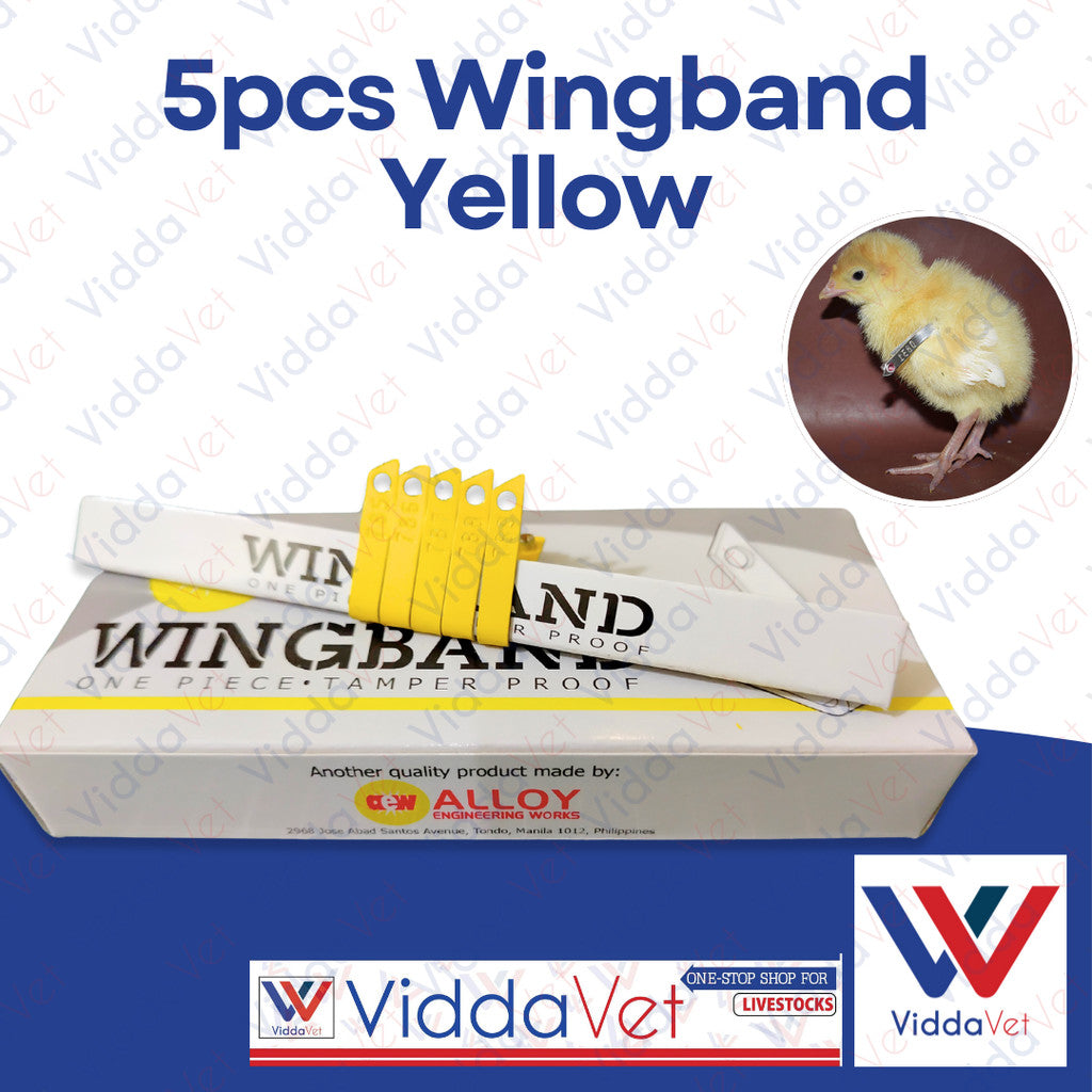 Wing Bands Yellow 5pcs