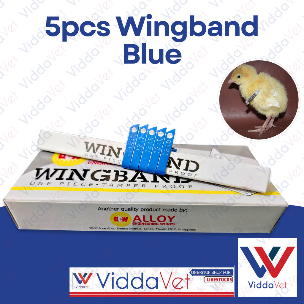 Blue Wingband 5pc