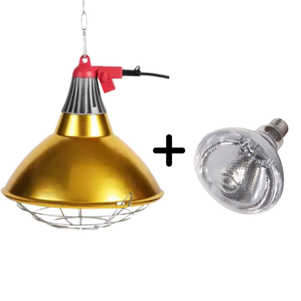 Golden Big Hood and Wiring Heat Lamp 150w and 100w