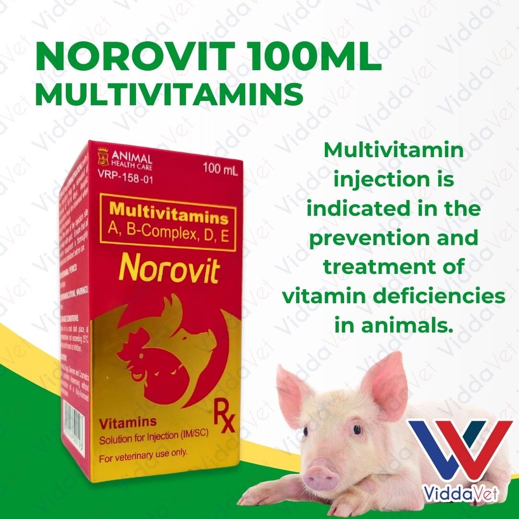 Norovit 100ml