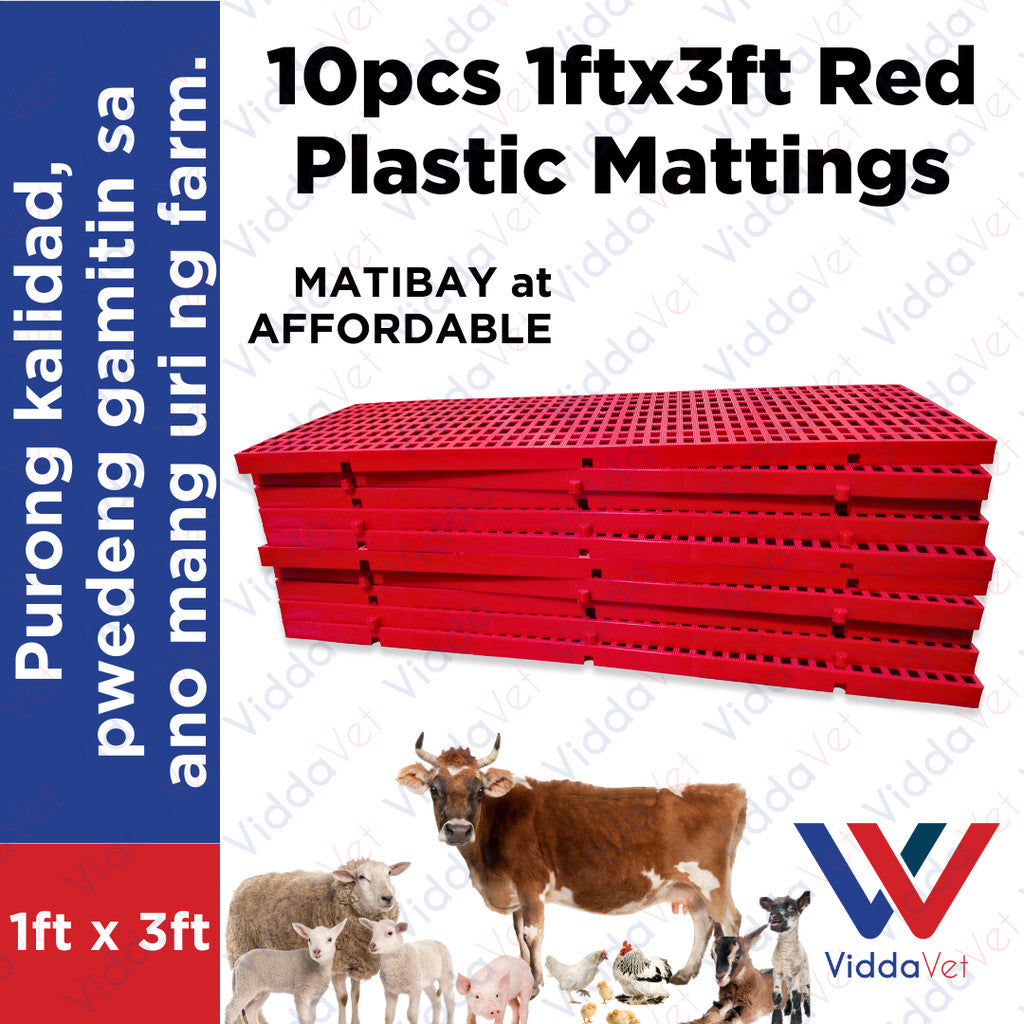 Plastic Mattings Red 1x3 10pcs