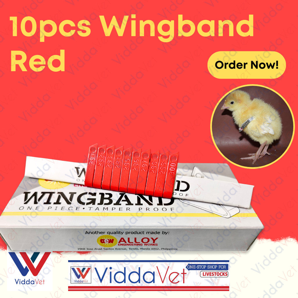 Wing Bands Red 10pcs