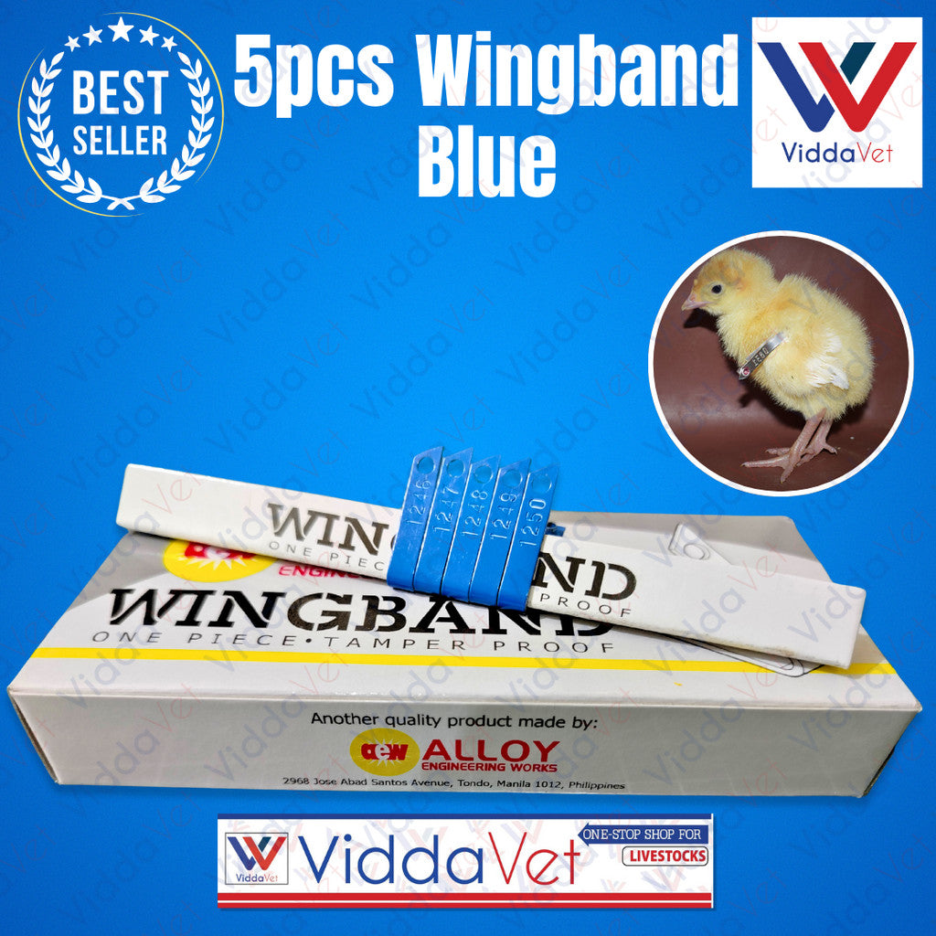 Blue Wingband 5pc