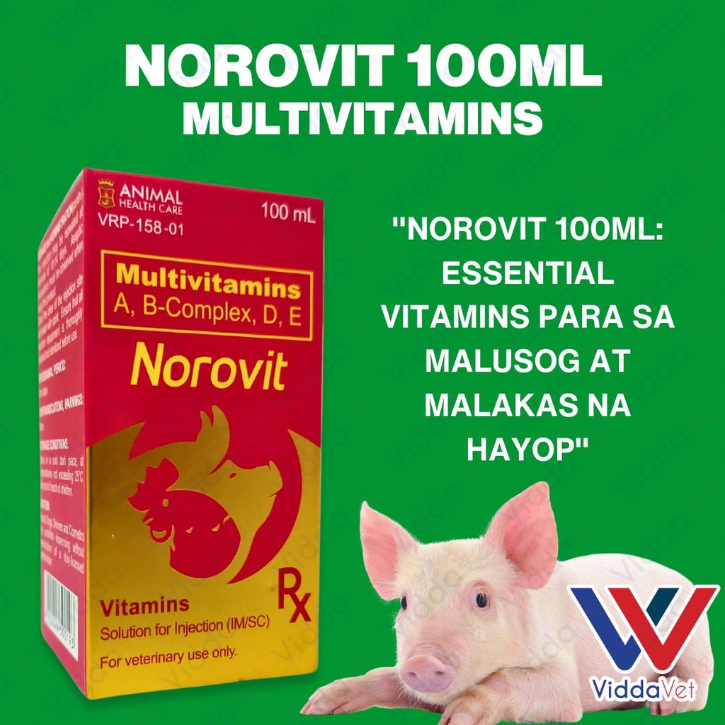 Norovit 100ml