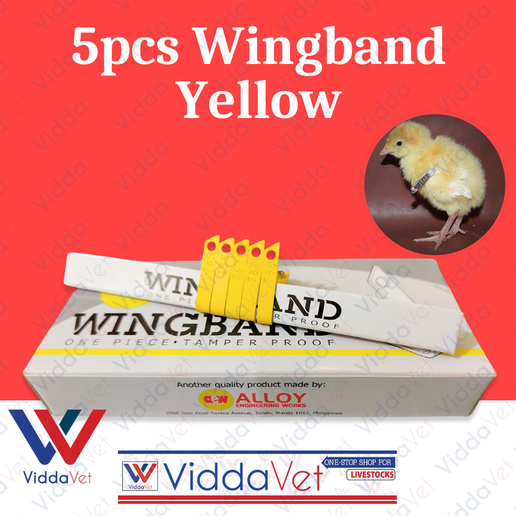 Wing Bands Yellow 5pcs