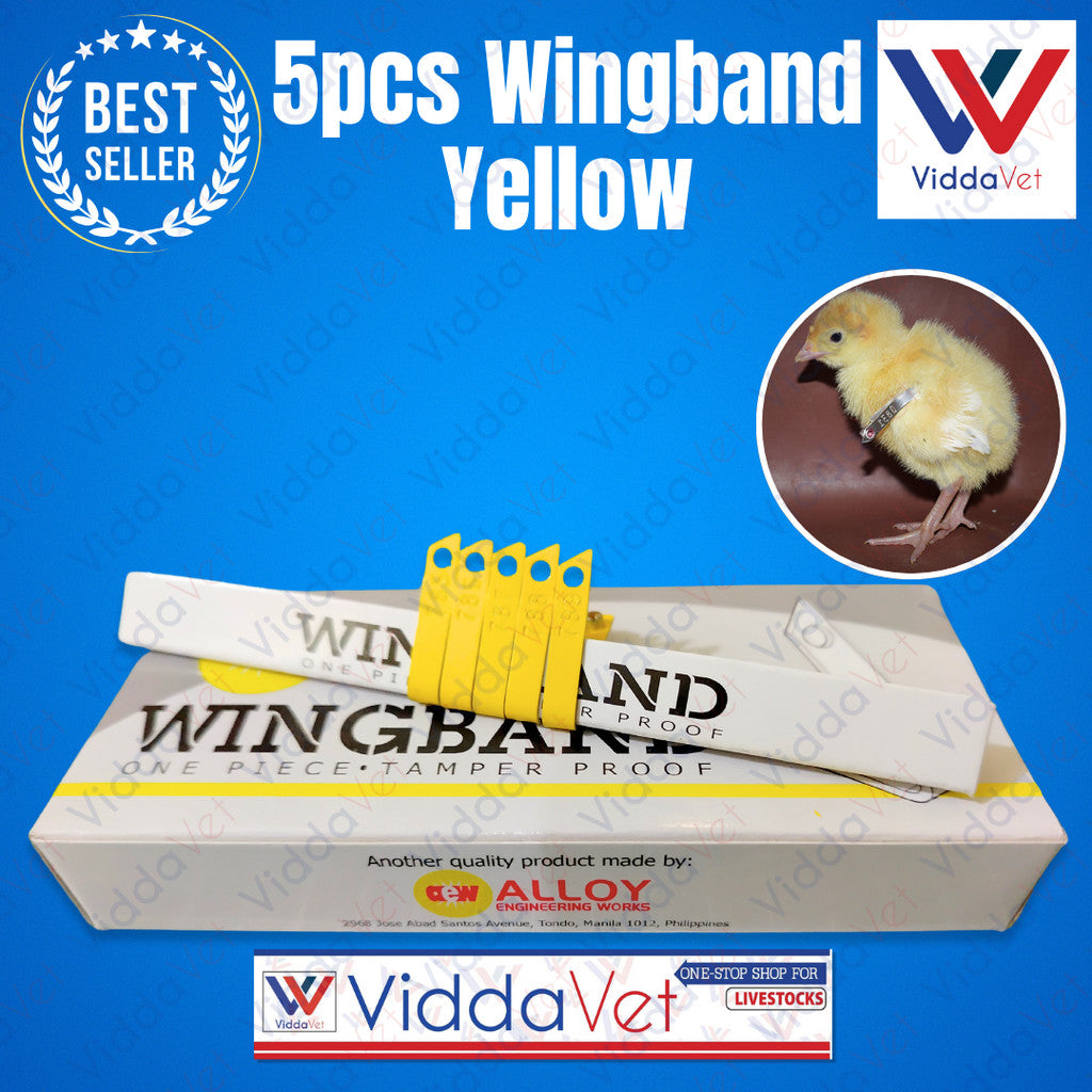 Wing Bands Yellow 5pcs