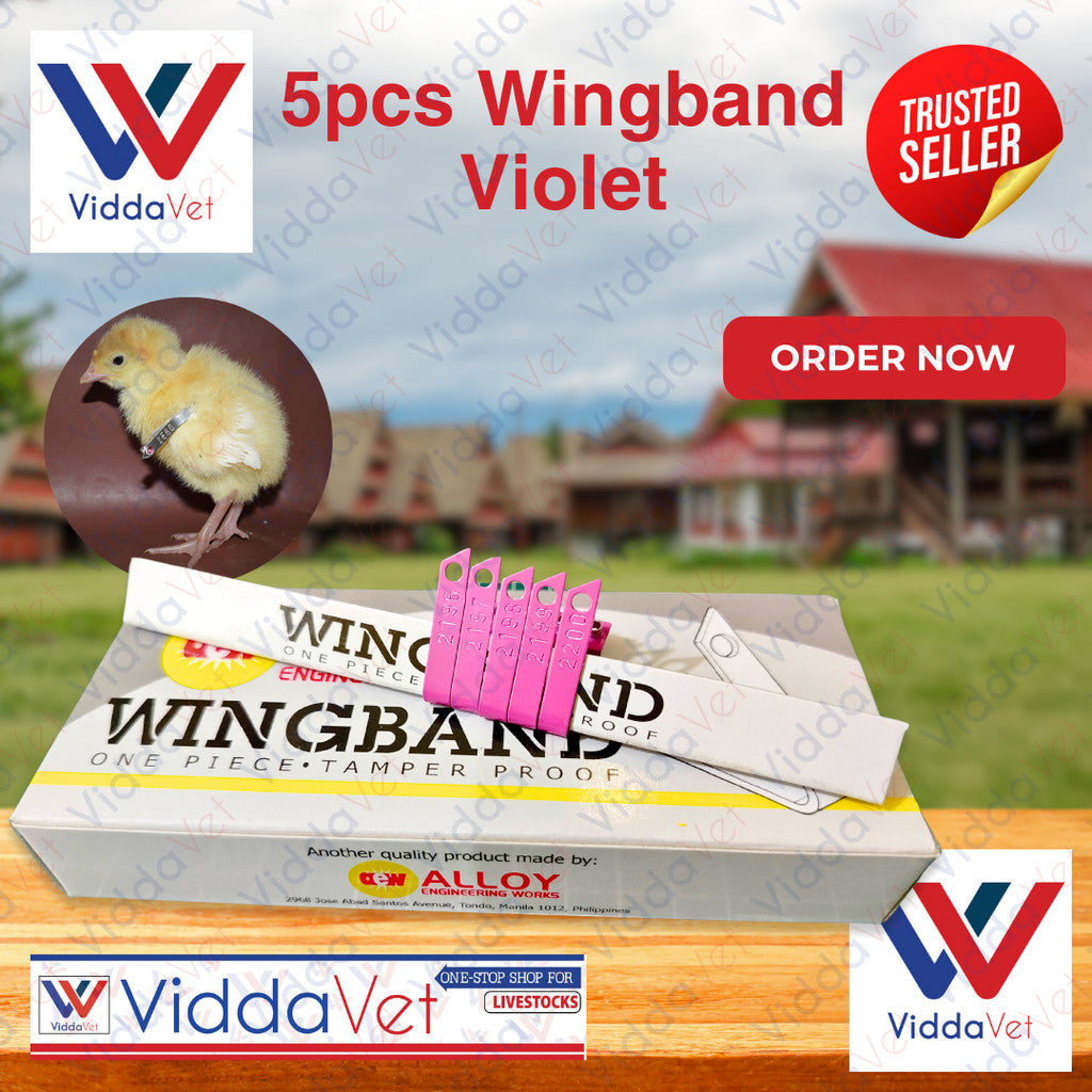 Wing Bands Violet 5pcs