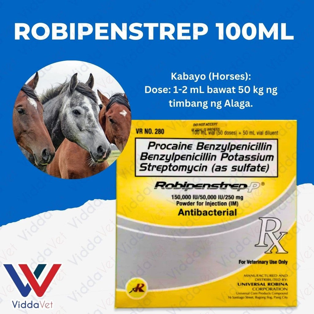 Robipenstrep 100ML