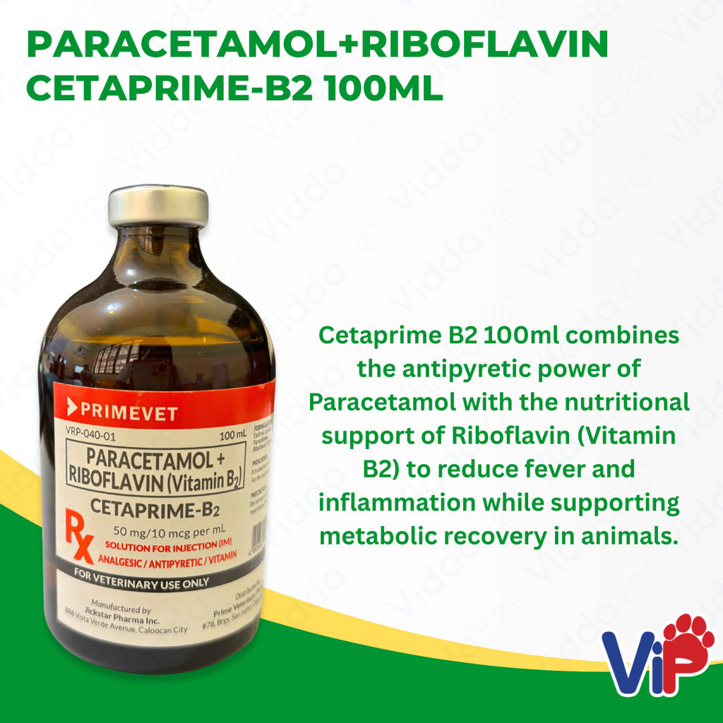 Cetaprime - B2 Paracetamol Riboflavin  B2 100ML