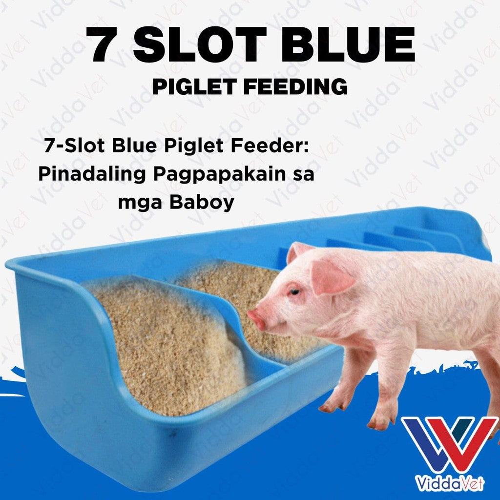 7 Slot Blue Piglet Feeder