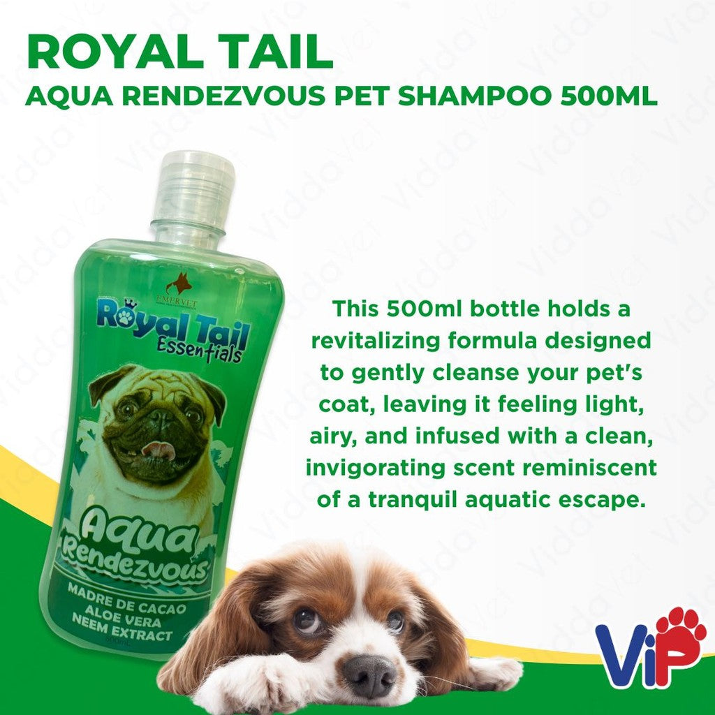 Royal Tail Aqua Rendezvous Shampoo 500ml