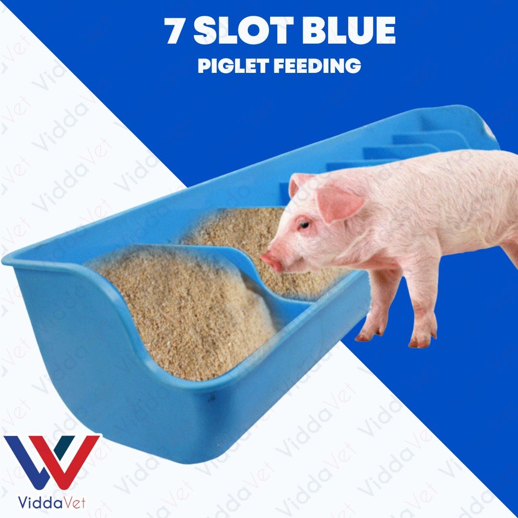 7 Slot Blue Piglet Feeder