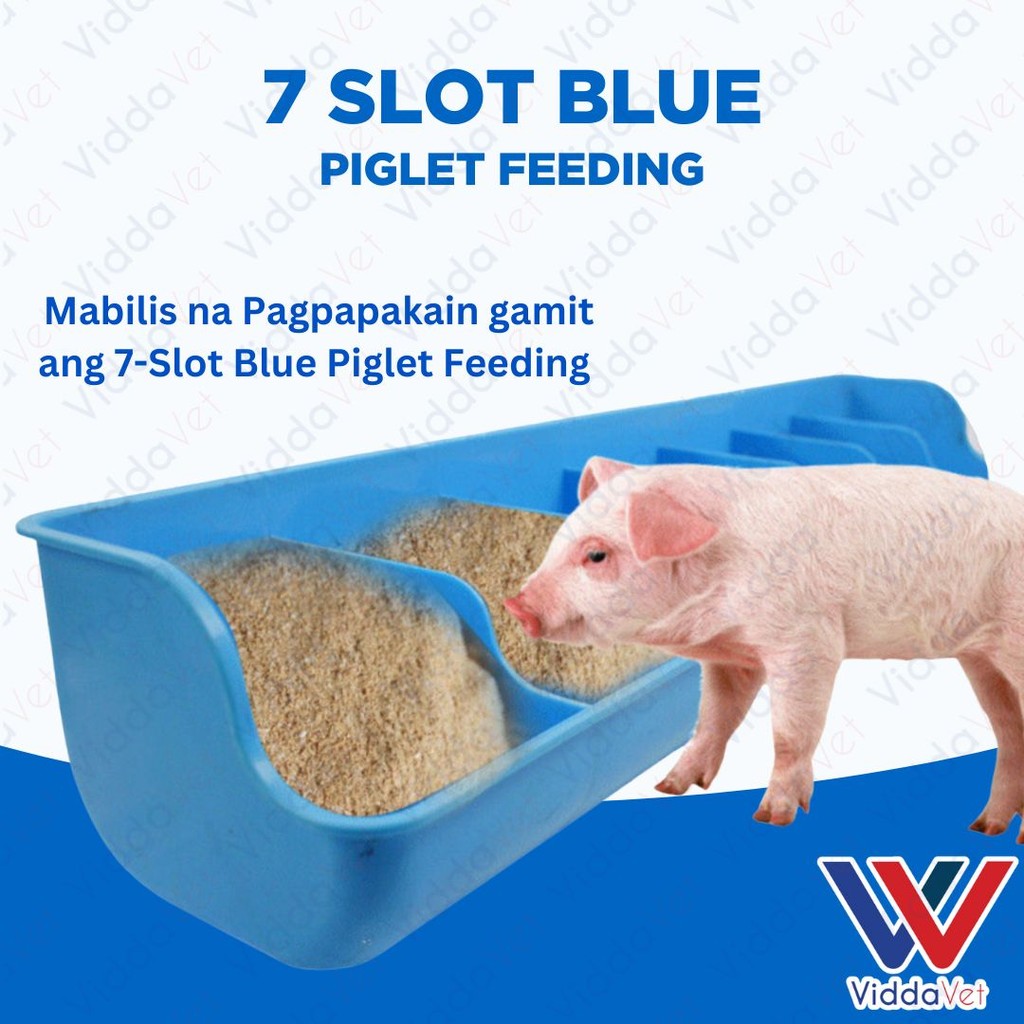 7 Slot Blue Piglet Feeder