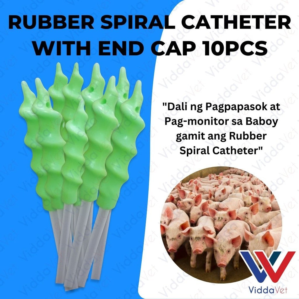 Pig Spiral Catheter 10pcs