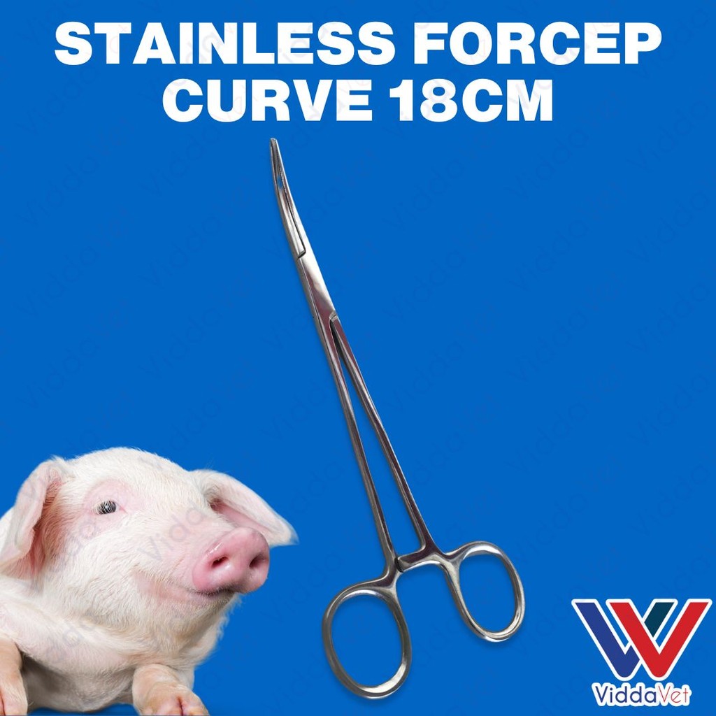 Stainless Steel Curved Forceps 18cm