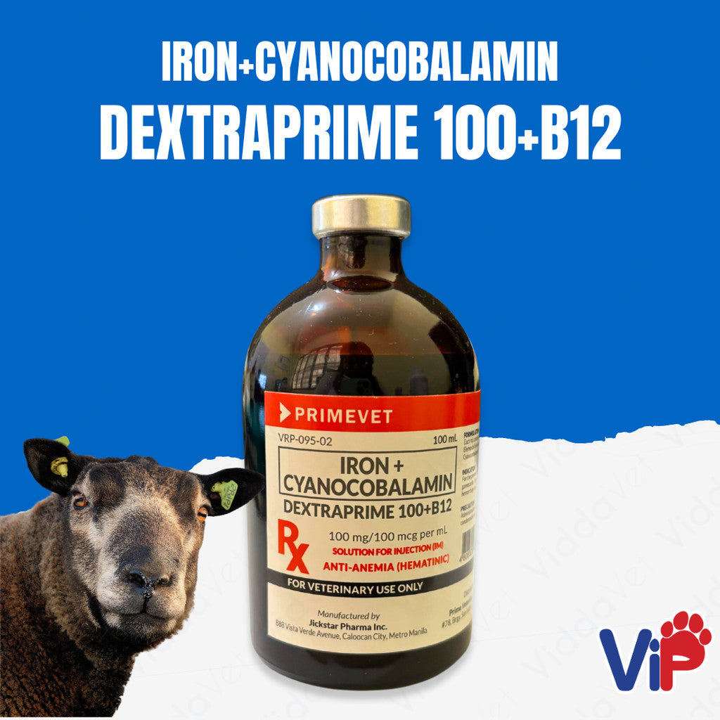 Dextraprime 100 (B12)