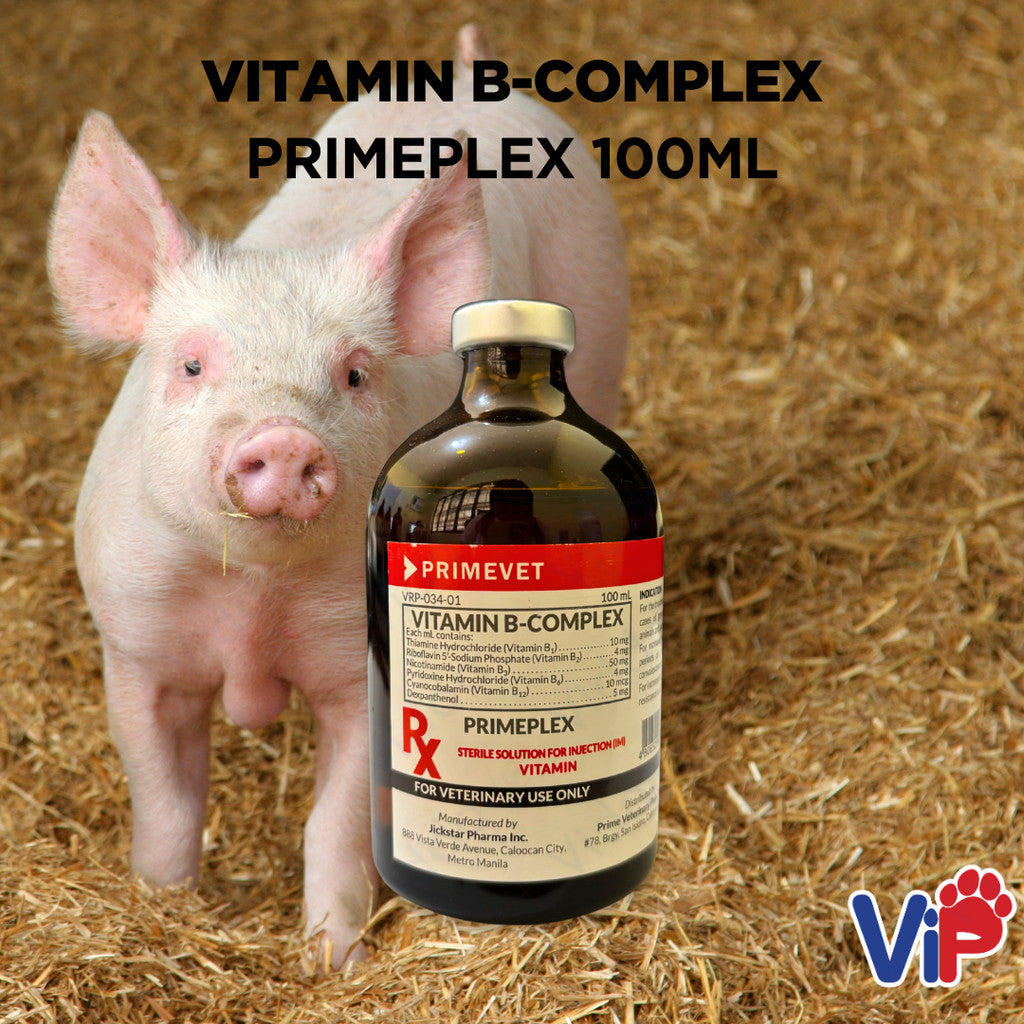Primeplex Vitamin B Complex 100ML