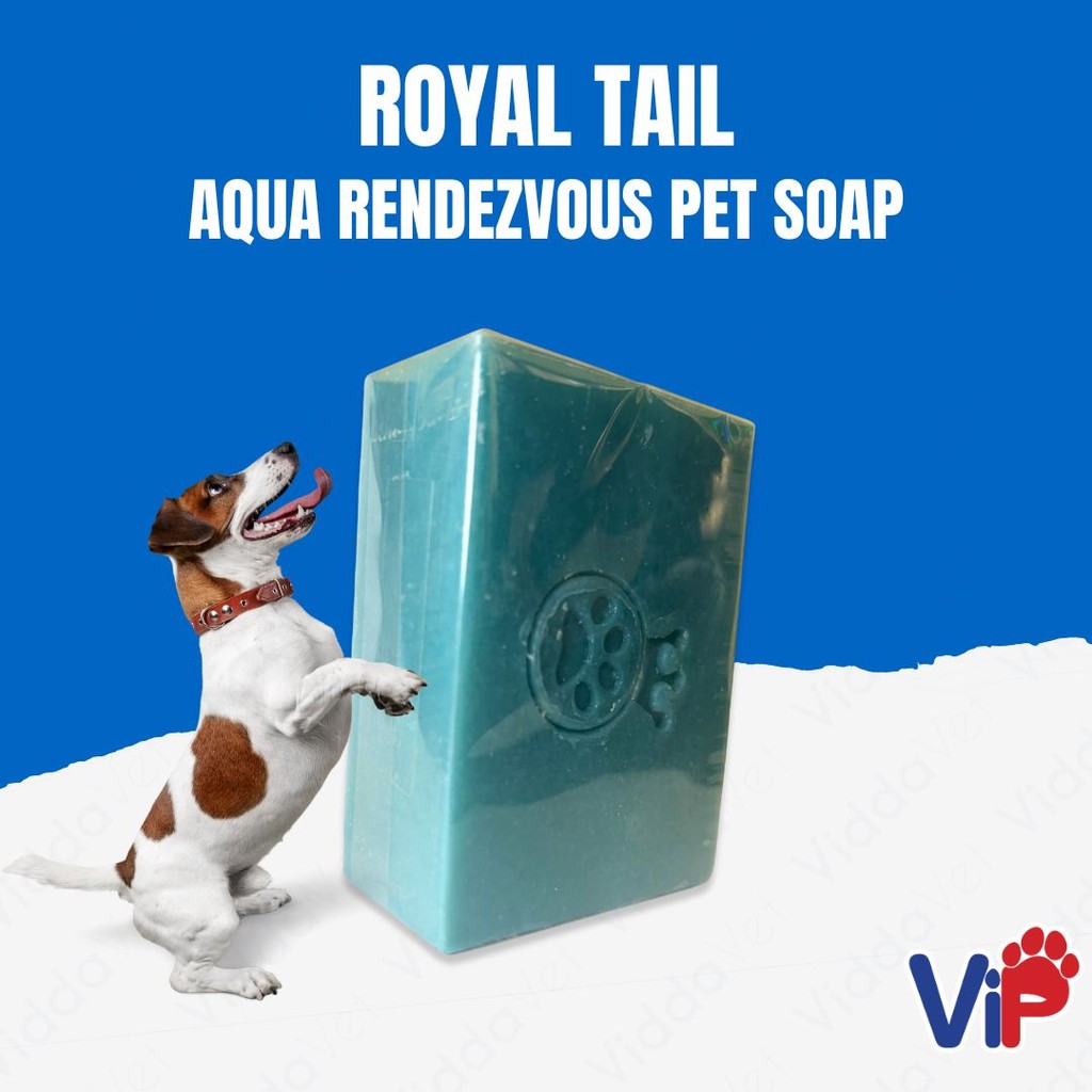 Royal Tail Aqua Rendezvous Soap 150g
