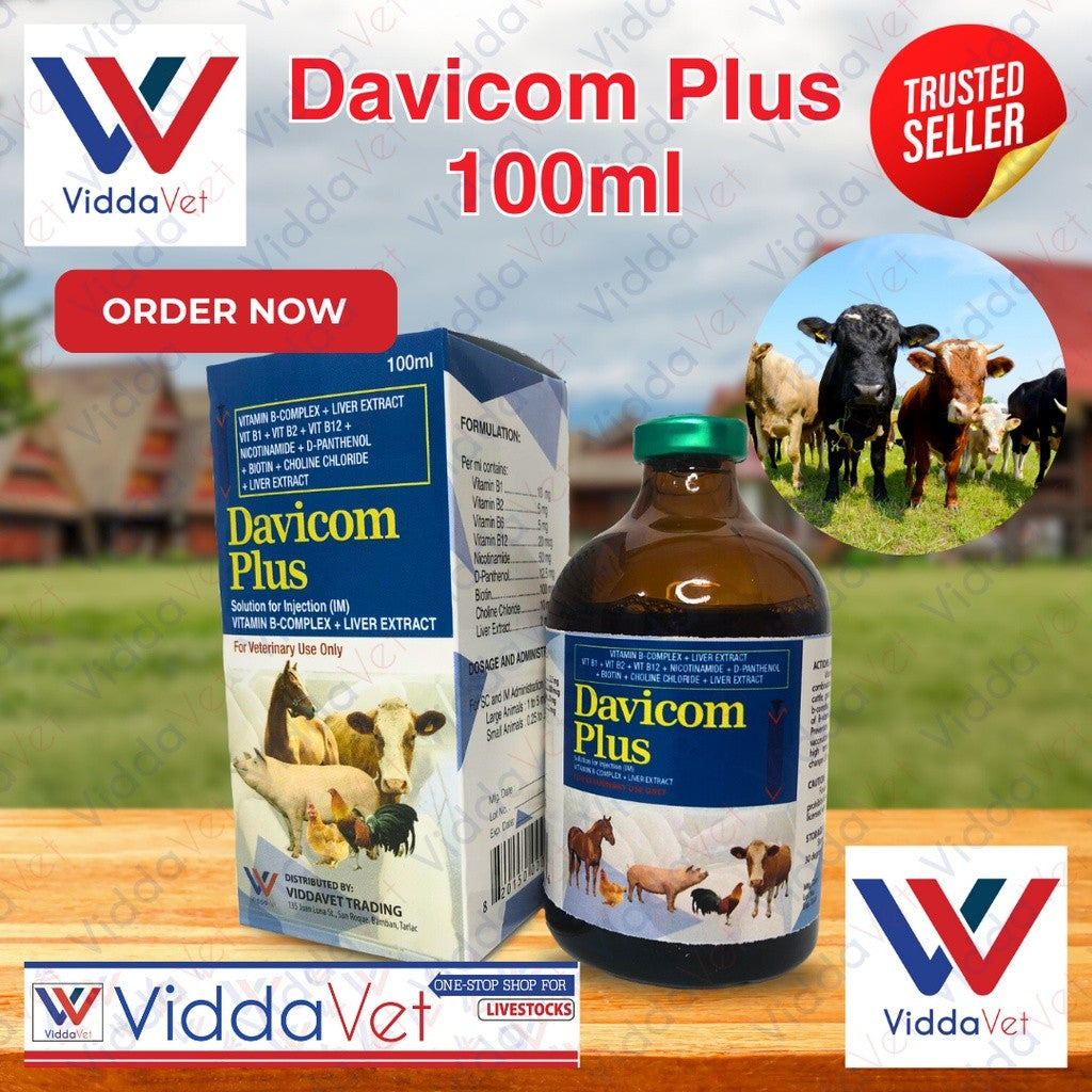 Davicom Plus 100mL - Vitamin B-Complex Injectable for Livestock Health |  Viddavet Trading