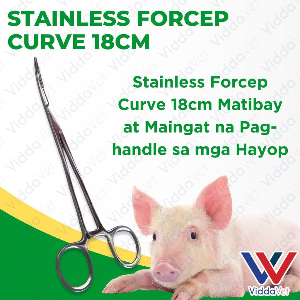 Stainless Steel Curved Forceps 18cm