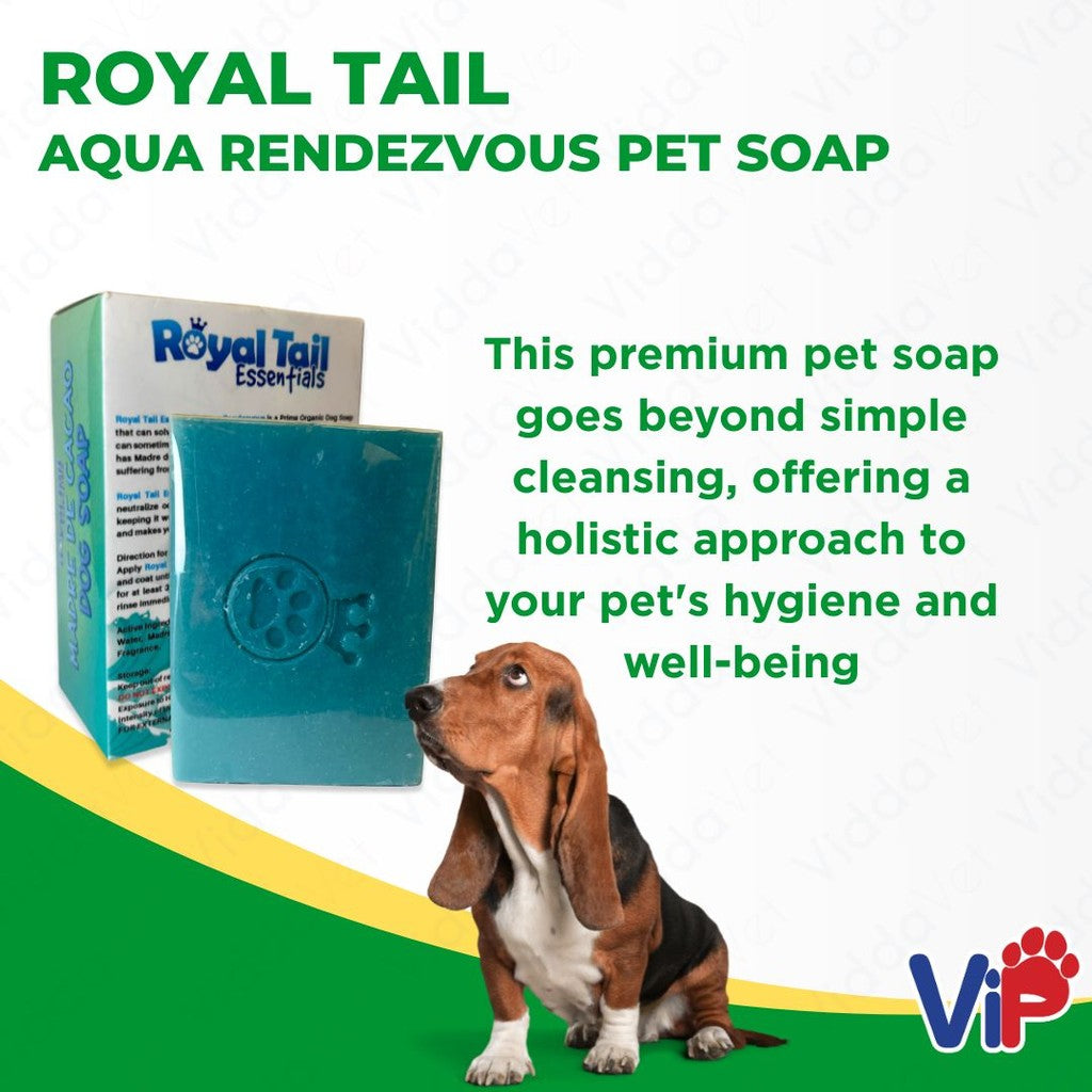 Royal Tail Aqua Rendezvous Soap 150g