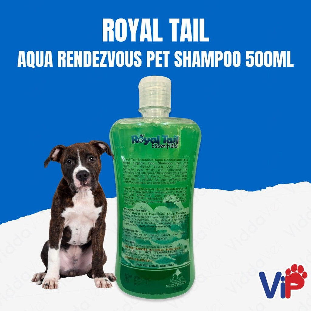 Royal Tail Aqua Rendezvous Shampoo 500ml