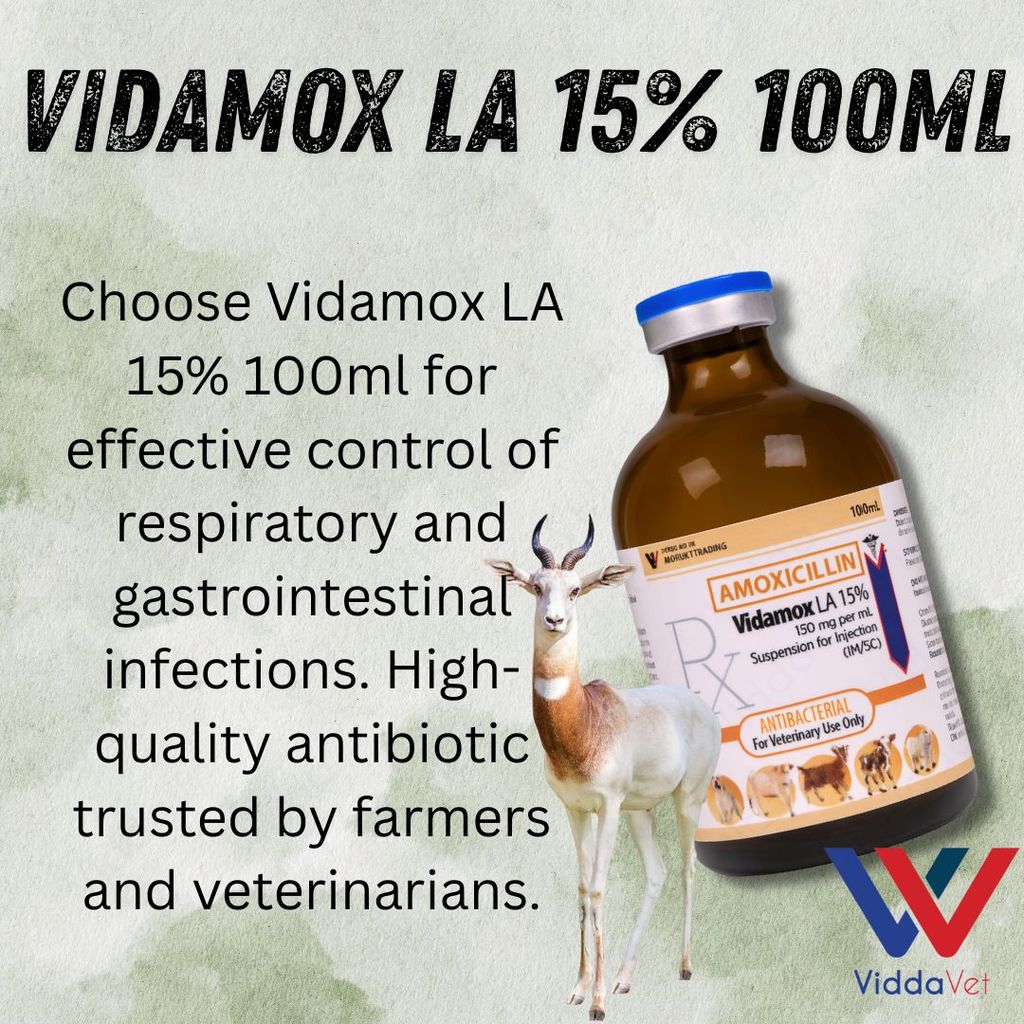Vidamox LA 100ml Para sa May Sipon na Manok