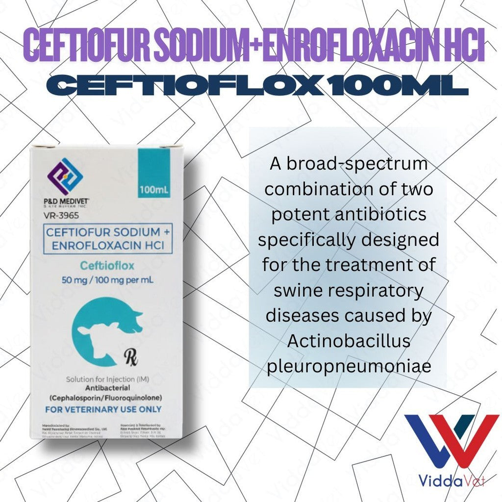 Ceftioflox 100ml