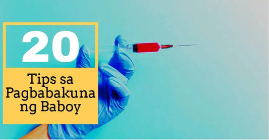 20 Tips na Dapat Mong Malaman Bago Magbakuna ng Baboy