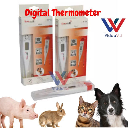 Digital Thermometer