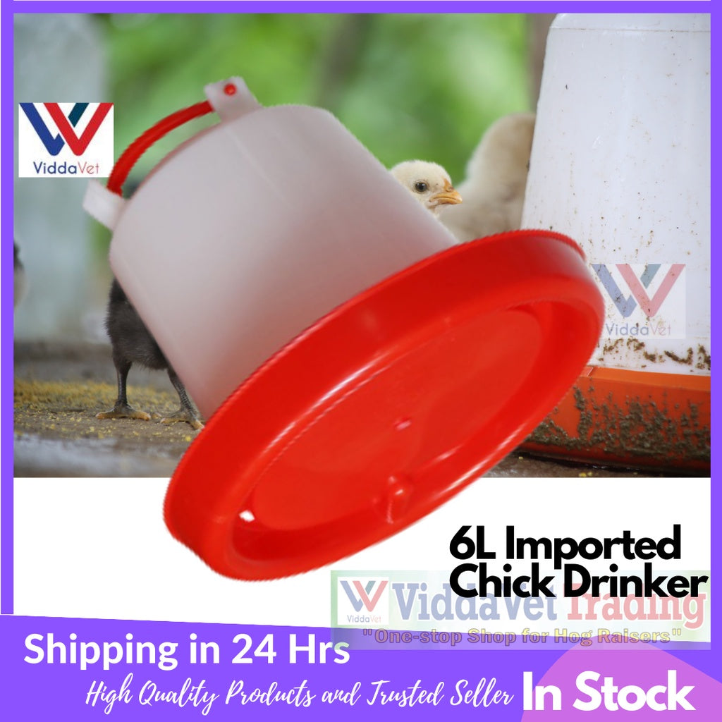 Automatic Chicken Drinker 6L