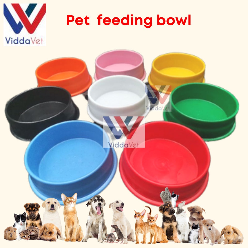Pet Feeding Bowl