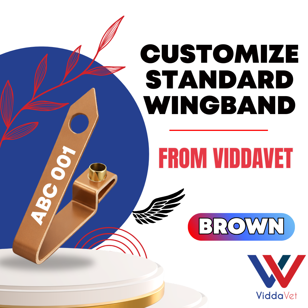 WINGBAND BLANK STANDARD-BROWN