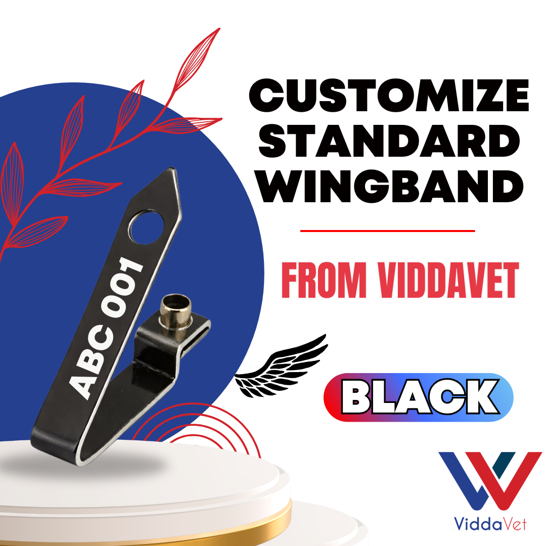 WINGBAND BLANK STANDARD-BLACK