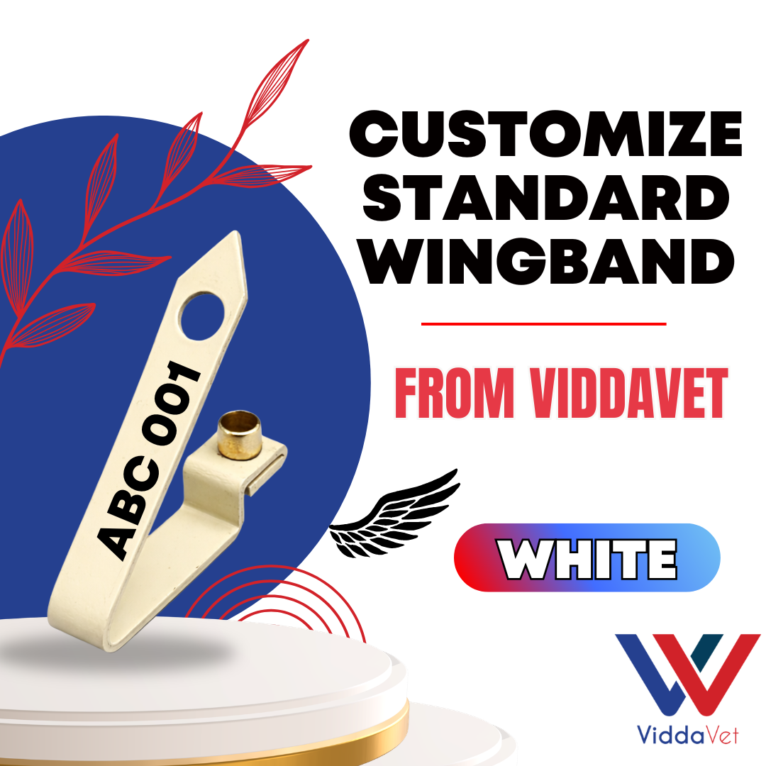 WINGBAND BLANK STANDARD-WHITE