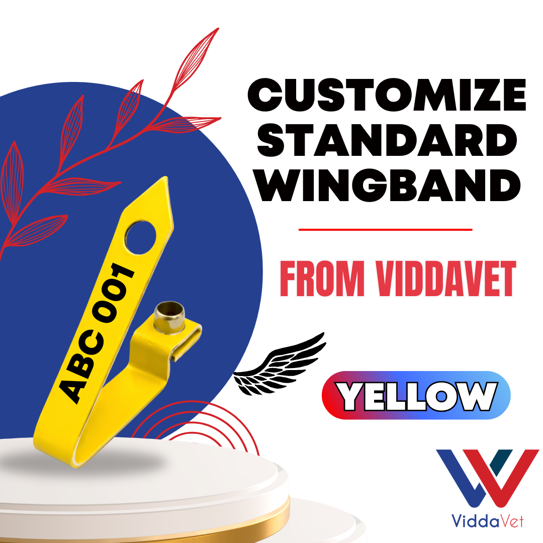 WINGBAND BLANK STANDARD-YELLOW