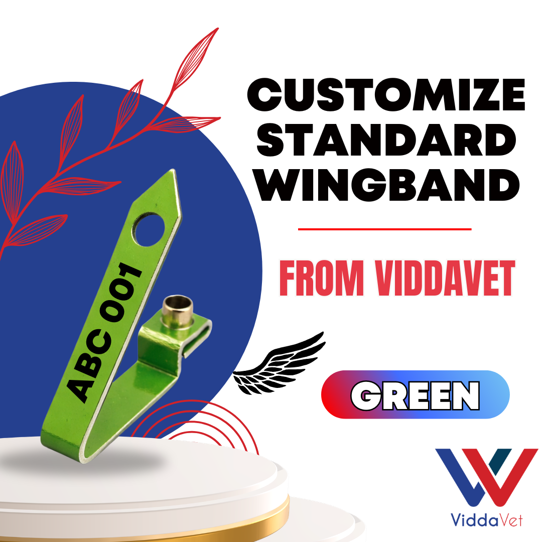 WINGBAND BLANK STANDARD-GREEN