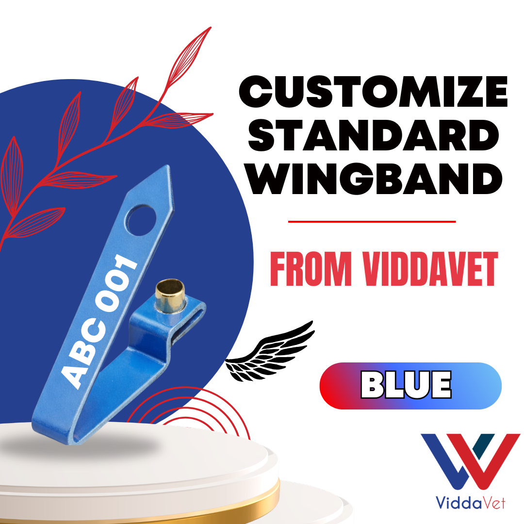 WINGBAND BLANK STANDARD-BLUE