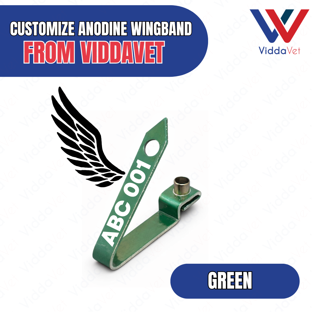 WINGBAND BLANK ANODINE-GREEN