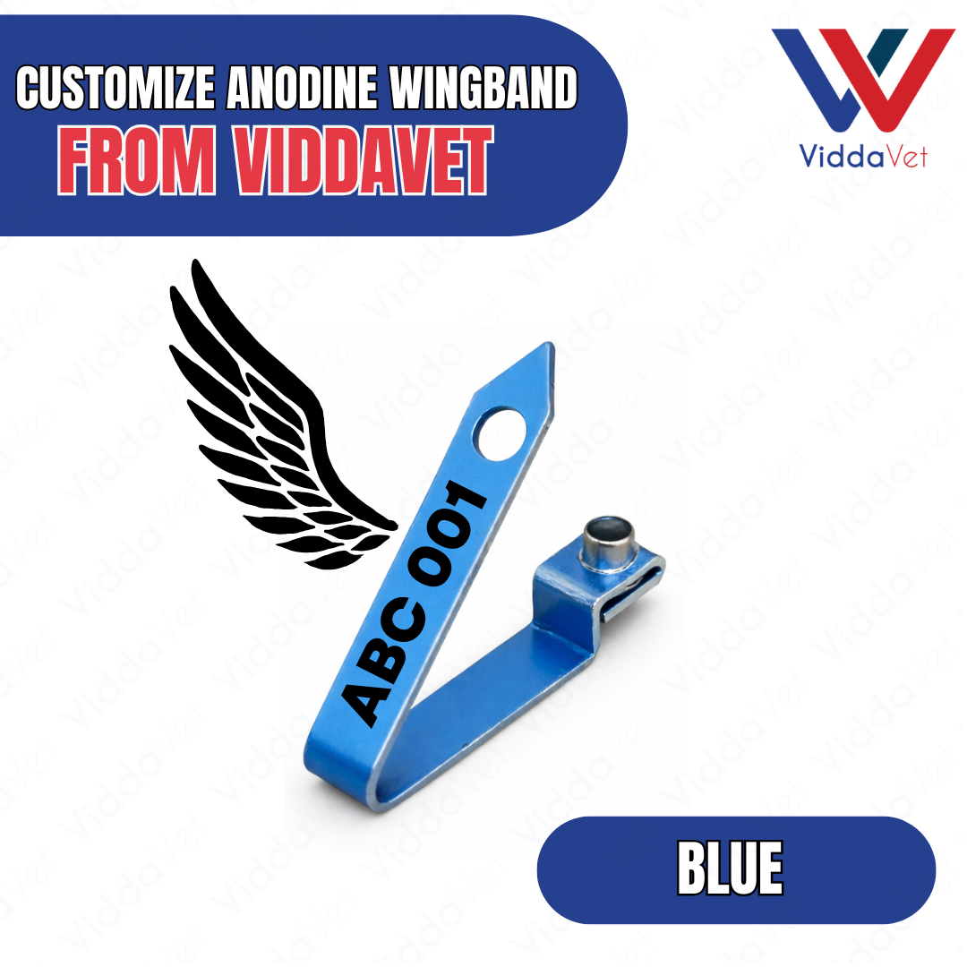 WINGBAND BLANK ANODINE-BLUE